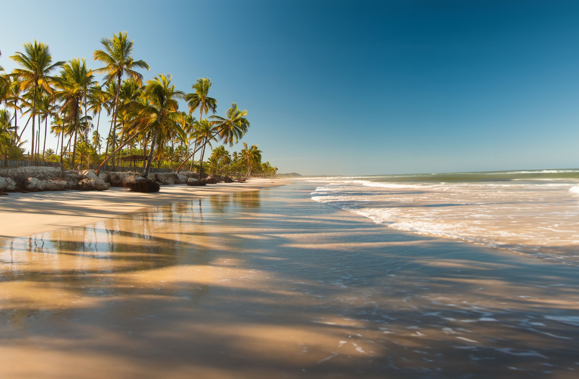 Tropical landscape with beach with coconut trees at sunset